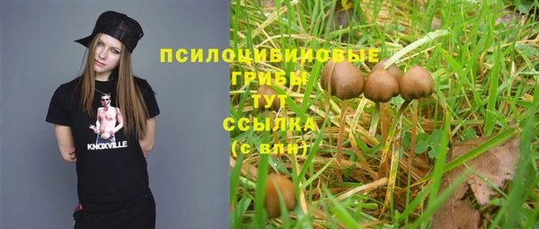 ALPHA-PVP Алексеевка